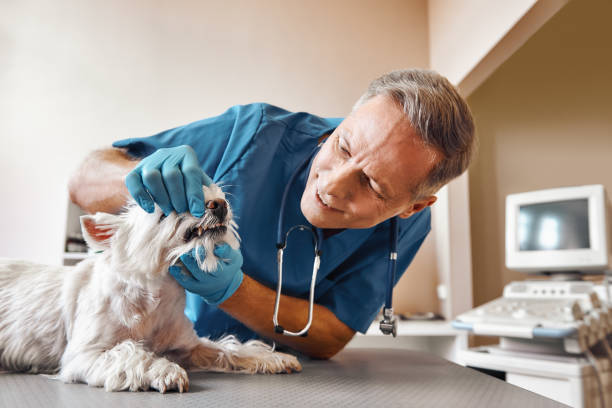 Best Broken Tooth Emergency  in Swainsboro, GA